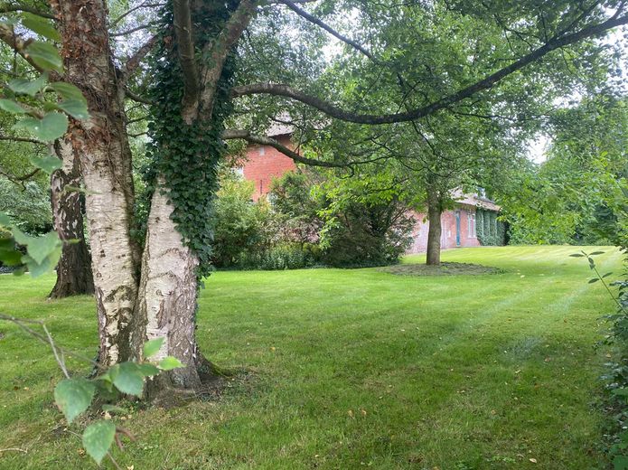 Großzügiges Anwesen unter Reet mit großem parkähnlichem Grundstück - vielseitig nutzbar. – Seitenansicht des Hauses