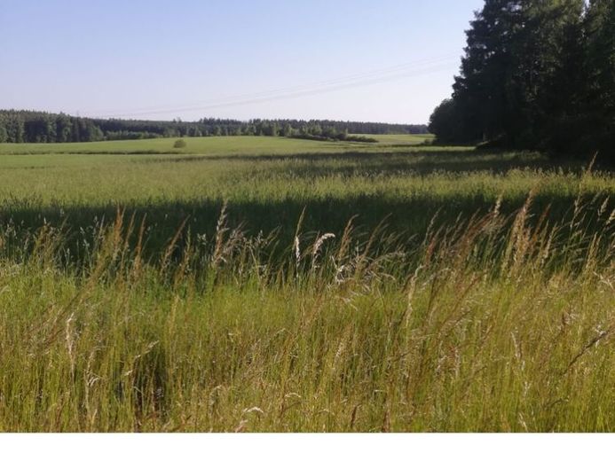 Wohnen in Helmbrechts in der Haa? Na, hoo! – Foto 1