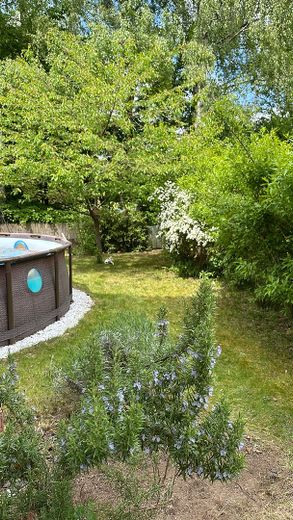 Een bijzonder huis in het Taunusgebergte – Foto 21