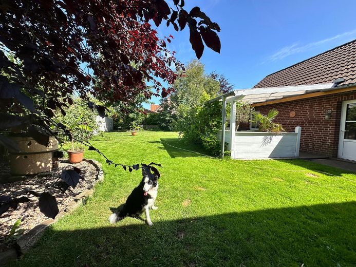 Gepflegtes Einfamilienhaus mit 160 m², 797 m² Grundstück & neuer Bosch-Gasheizung – provisionsfrei – Photo 5