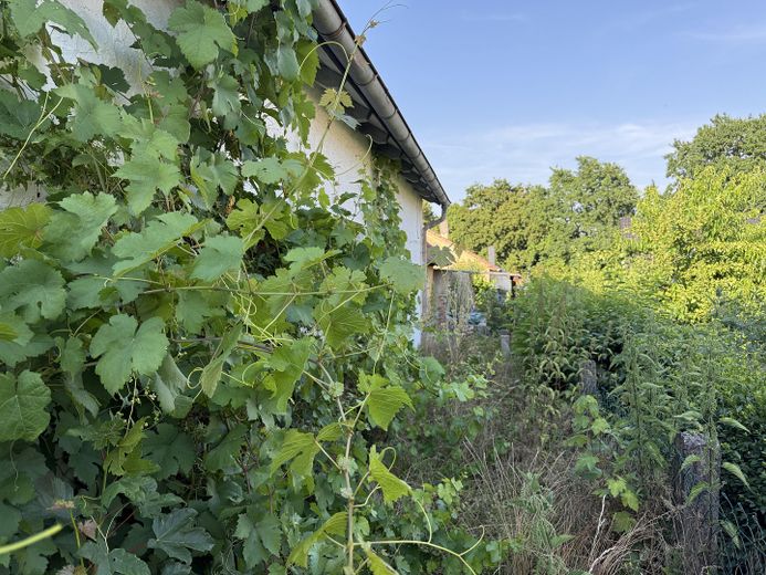 Kleines Wohnhaus mit Garten und großer Doppelgarage – Foto 4