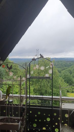 Blick vom Balkon DG