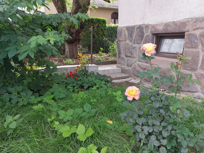 STILVOLLE VILLA - 3 Wohnungen – RENOVIERT - Heizung NEU – Foto 12