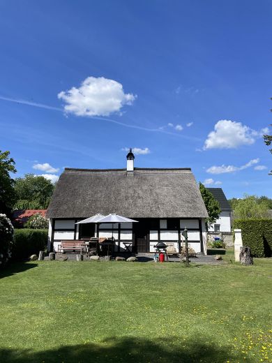 Zauberhaftes Reetdachhaus, große Scheune, großzügiges Grundstück, in der Ruhe des Naturparks – Reetdachhaus