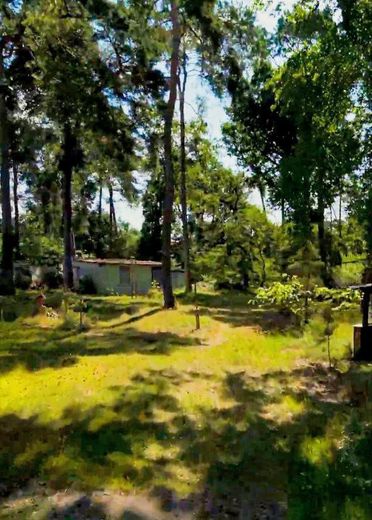 Bestandsbungalows im Westteil