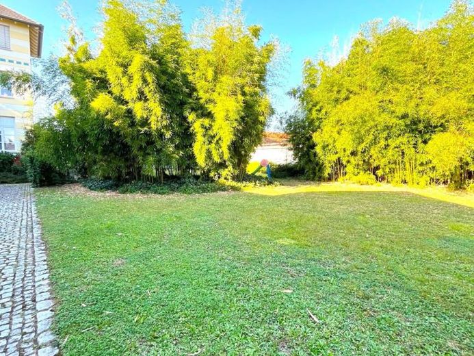 Sanierte Loftwohnung: Mit Terrasse, Stellplatz und Gartenzugang – Foto 1