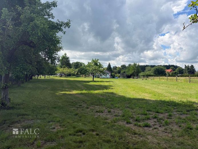 ***Großzügiges Baugrundstück mit Obstbaumbestand in Boddin/ Wittendörp*** – Grundstück