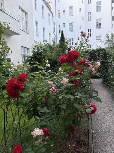 Toplocatie Wilmersdorf: Hoogwaardig gerenoveerde 2-kamerwoning – Foto 11