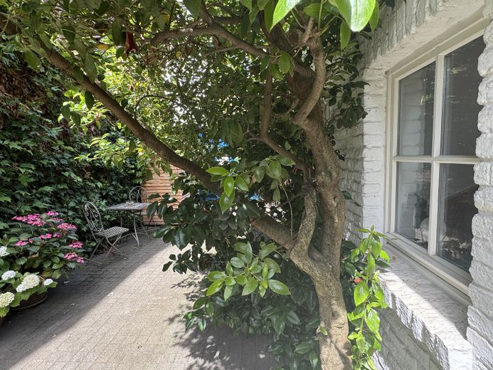 Ehrenfeld-Bickendorf: Wunderschönes Landhaus mit Hof und großem Garten, ökologisch saniert – Hof 2, Fenster neben Eingang