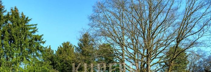 Exklusives Hanggrundstück am Waldrand – Natur pur in Bestlage!