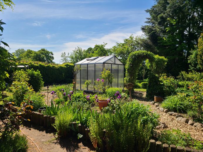 Garten im Sommer
