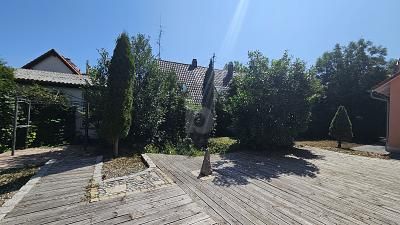 LEBEN AN DER AMPER – 1756816782_3d986c.jpg