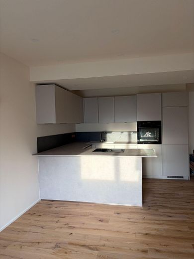Первое заселение, 2-комнатная квартира площадью 50 м² со встроенной кухней – Einbauküche, Frontansicht