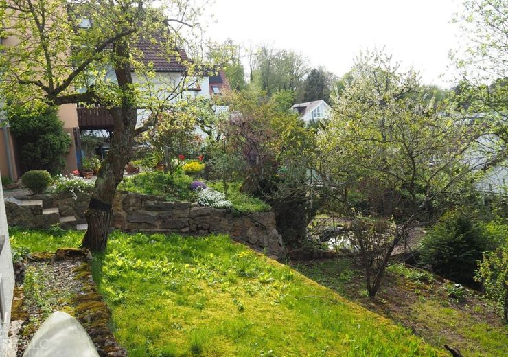 Garten hinter dem Haus