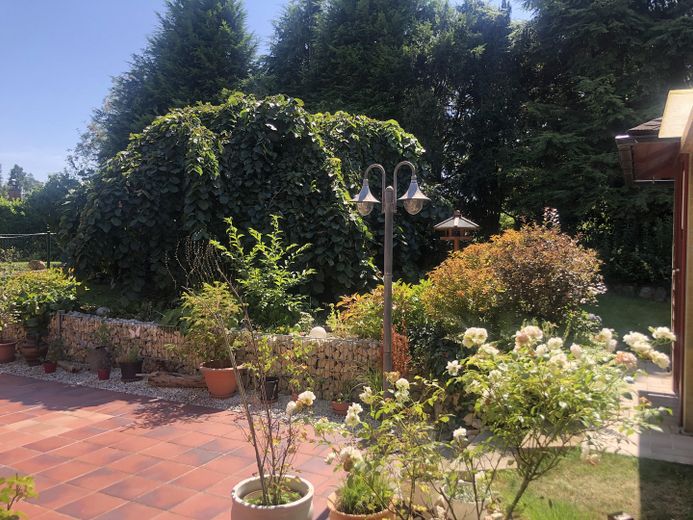 Einfamilienhaus in bester Wohnlage - *Courtagefrei* – Garten mit kleinem "Wäldchen"