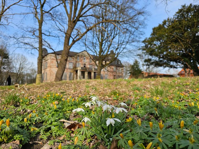 Blick aufs Schloss