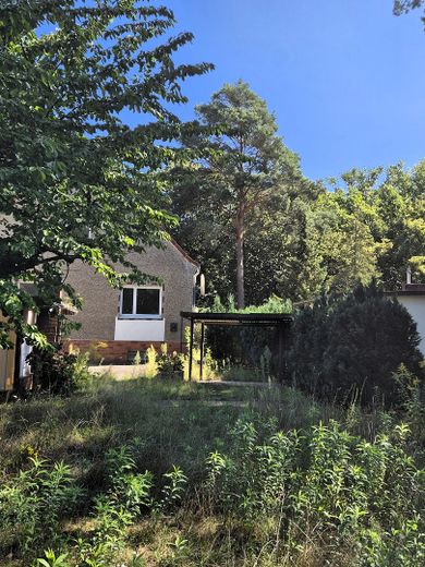 Großes Grundstück im Grünen mit Haus, Garage, Carport, Stellplätze – Rückansicht