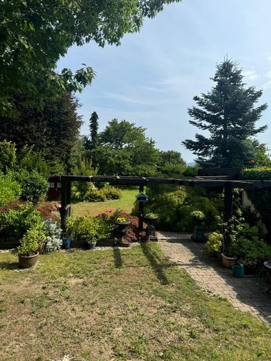 Ein-Zweifamilienhaus in Neu-Edingen 68535 – Blick in den Garten von der Te