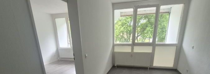 IMG-20260608-WA0003