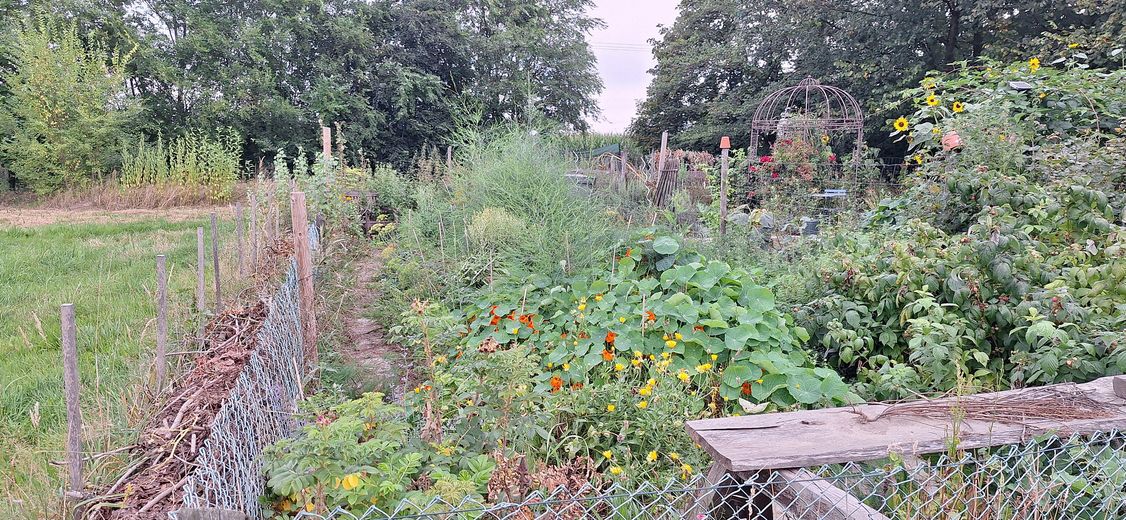 Garten Hügelbeet