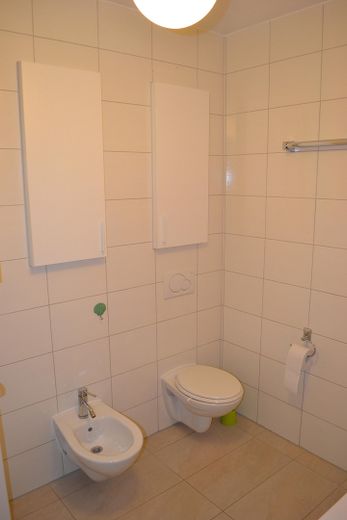 Doppelhaushälfte / Mehrgenerationenhaus / Mehrfamilienhaus / Haus – OG Bad