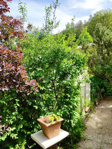 Pflanzenwelt/Gartenhaus
