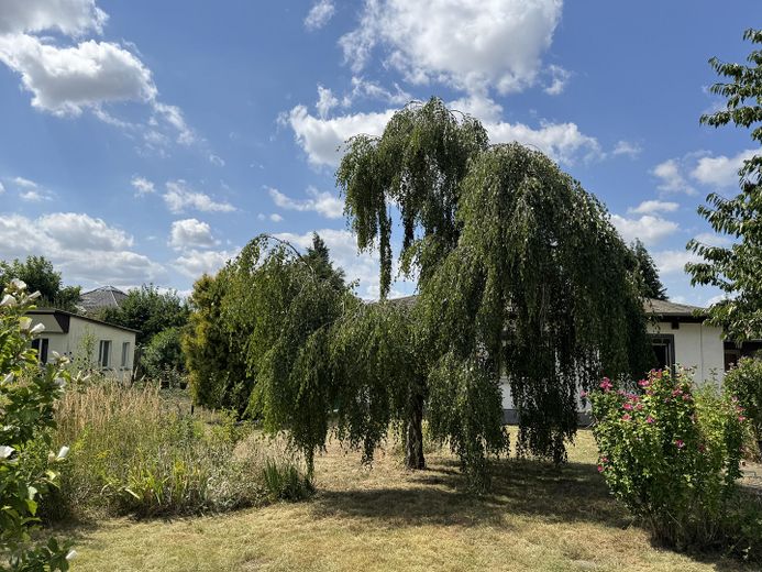 Wohnbaugrundstück mit kleinem Einfamilienhaus und Neubauperspektive • provisions- und bauträgerfrei – फोटो 3
