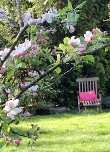 Garten Impression
