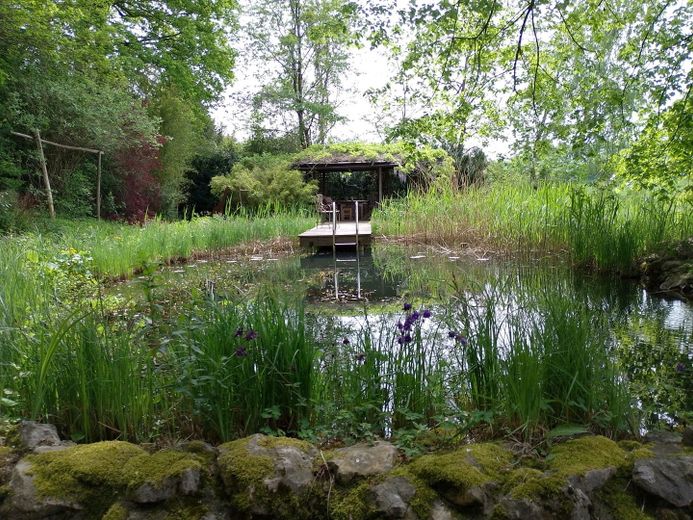 Schwimmteich mit Pavillon