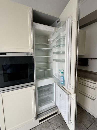 Einbauküche / Kühlschrank