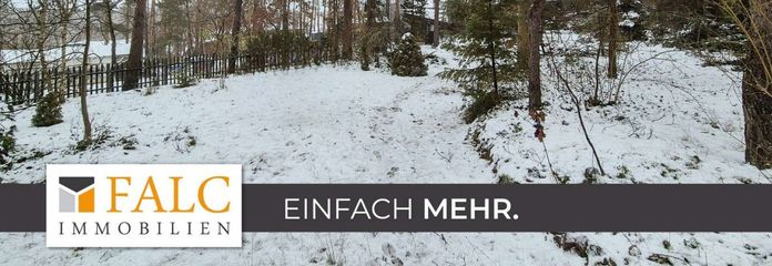 Titelbild