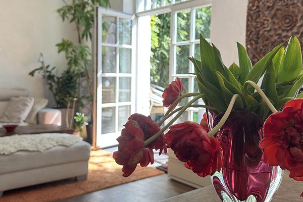 Ehrenfeld-Bickendorf: Saniertes bezugsfreies einzigartiges Altbau-EFH mit großem Garten