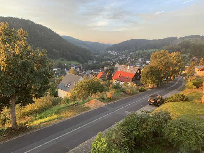 Blick vom Haus