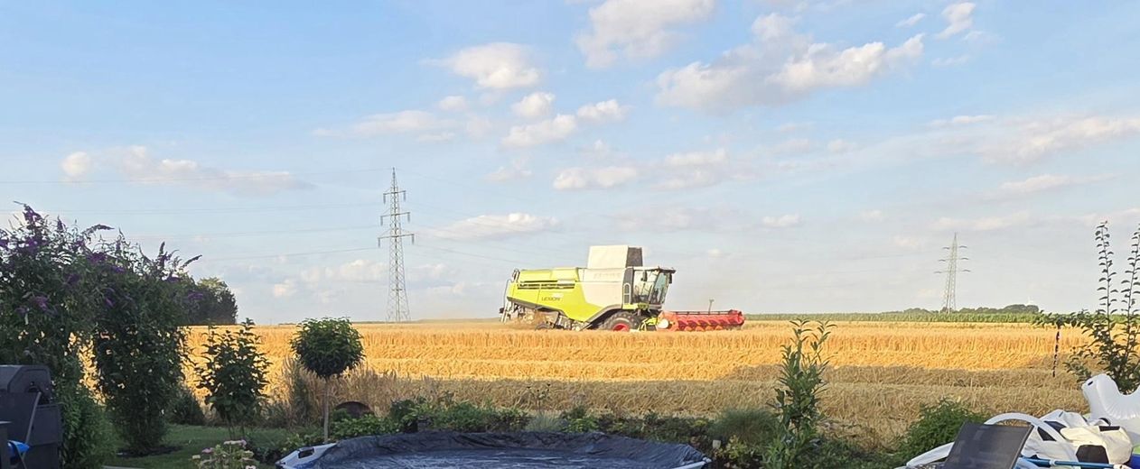 Притулок і симбіоз на Зостській бьорде. За садом — лише простір. – Фотографія 29