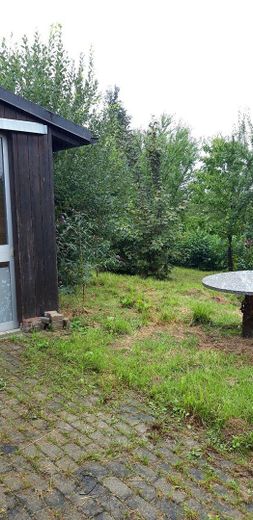 Erster Blick in den Garten