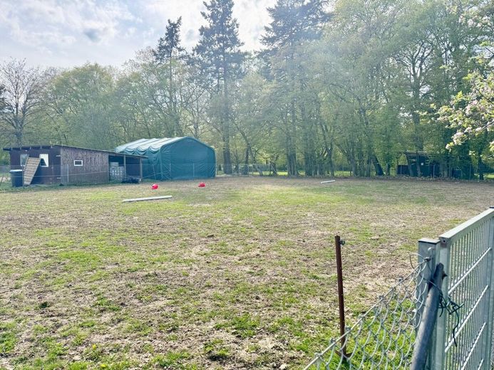 HORN IMMOBILIEN ++ Haus mit Doppelgarage und Nebengebäude in Wodarg bei Altentreptow, ruhige Lage – das Grundstück Pferdekoppel