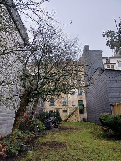 Vielseitiges Wohnhaus: Großfamilie oder 3×3-Zimmer-Wohnungen + Gewerbe & Garten – Hauswand von hinten