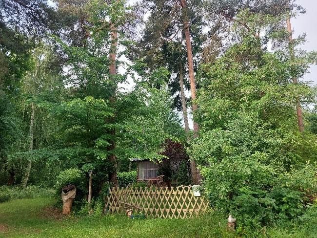 südl. Blick ins Grundstück