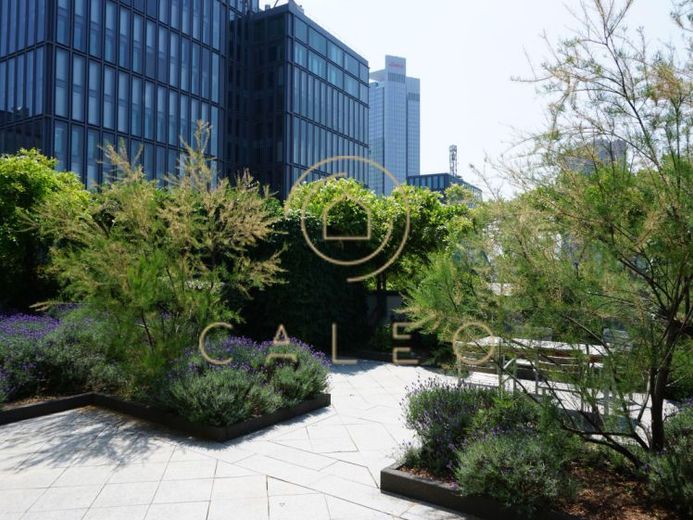 CALEO ¦ Westend-Süd ¦ 224 m² ¦ ab EUR 35,00/m² ¦ PROVISIONSFREI – Foto 1