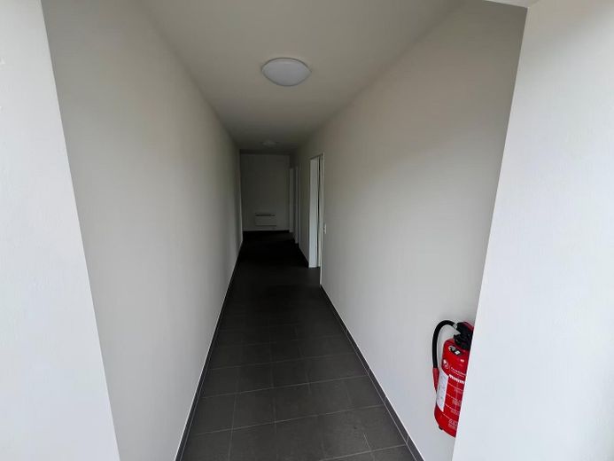 Новое коммерческое помещение (300 м²) с офисом, 1.500 м² открытой площадки и отличным подключением к A25 – Foto 4