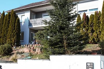 UNTER DEN DÄCHERN VON OBERNBURG – 1788555823_92a3b1.jpg