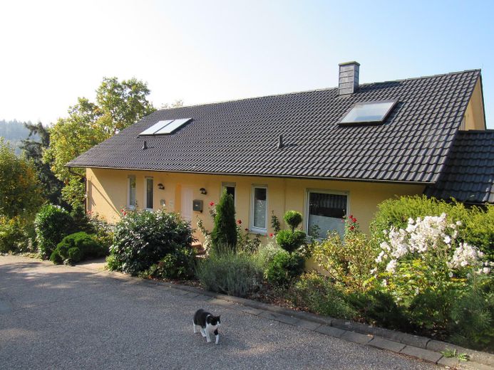 Hauseingang, Frontansicht