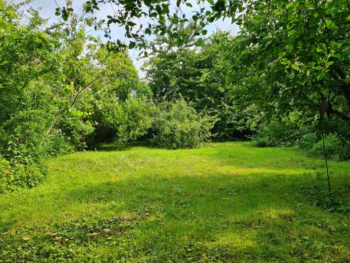 Immobilie / großzügiges Haus im Wendland – Foto 32