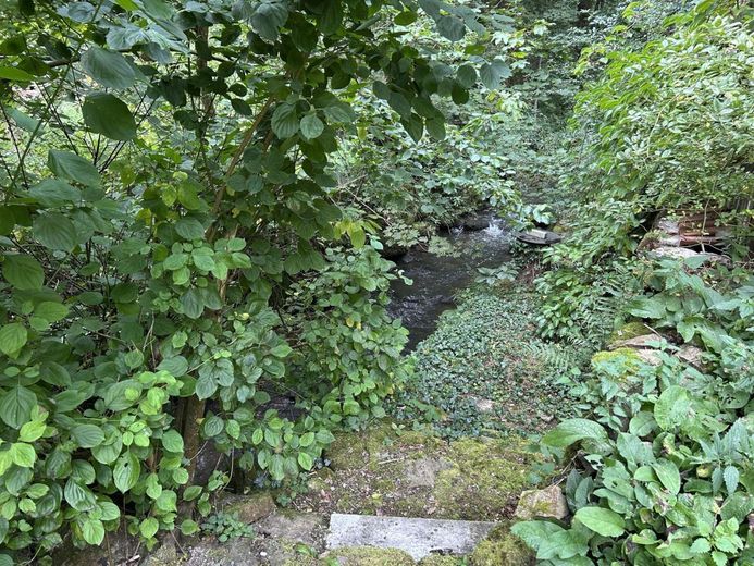 Dornröschen am Bachlauf - Ruhige Lage, kein Durchgangsverkehr - Traumhaft Natur erleben! Aussteiger! – Bachlauf