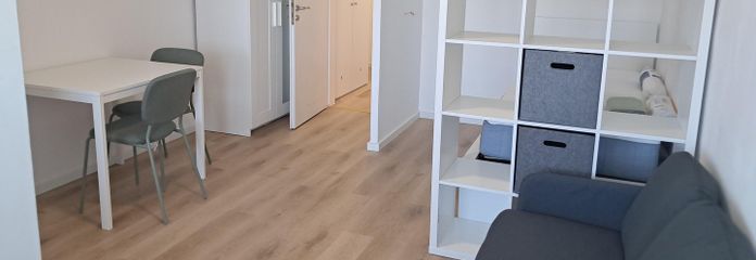 Erstbezug nach Renovierung: Vollmöblierte 1 Zimmer Wohnung - Erlangen Paul-Gossen-Str. – Wohnraum 