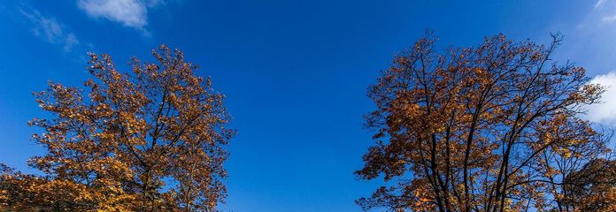 Majolika Firmenpark Schramberg