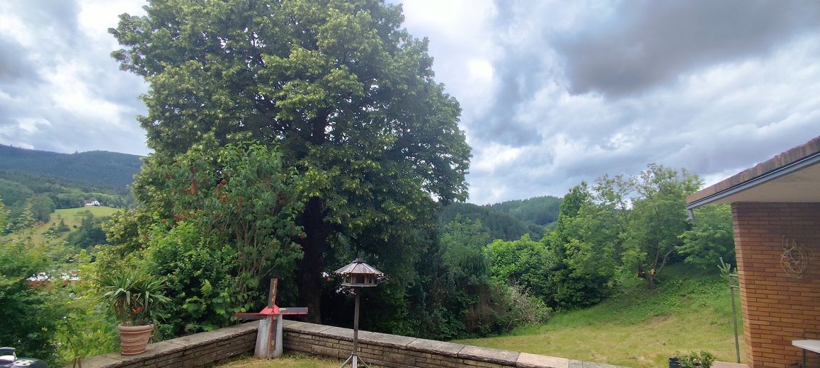 Schwarzwald-Mehrfamilienhaus in außergewöhnlicher und unverbaubarer Südlage in Oppenau- MAKLERFREI ! – Blick vom Freisitz