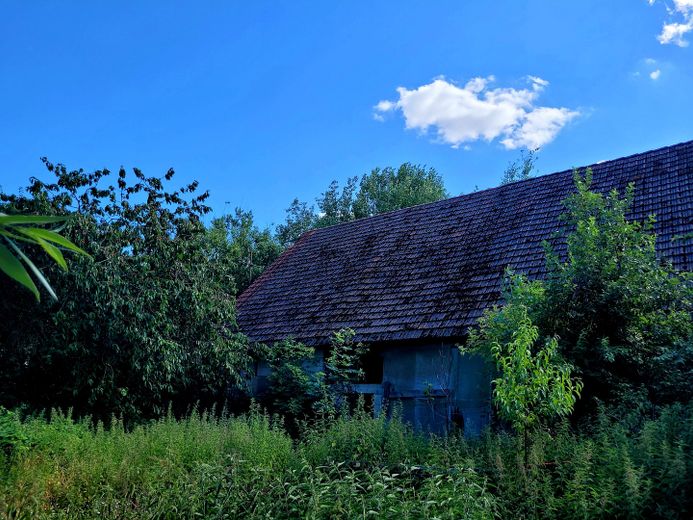 Atelier/Praxis/Gastro/Touristik/Büro/LOFT +++ in GUTSANLAGE (12 Geb. + 6 ha. Gr.) Nähe Müritz! – Scheune mit Wohnteil (G.blick)