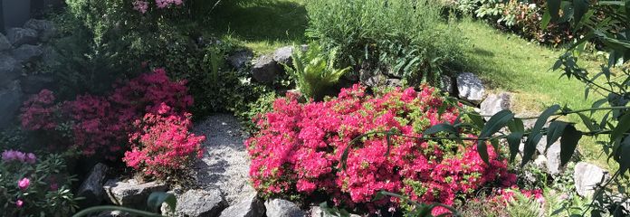 Blick aus dem Wohnzimmer