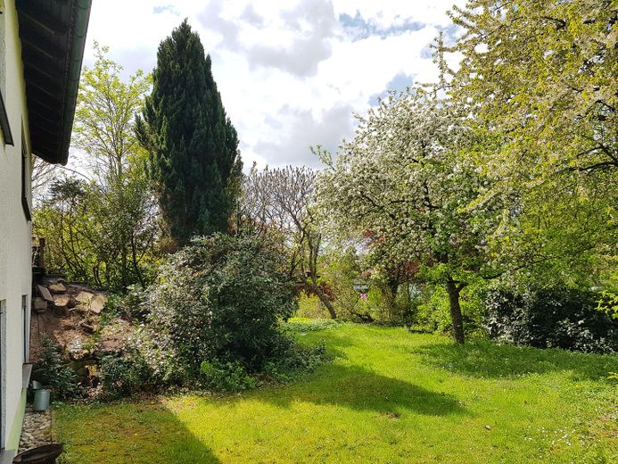 Gartenimpression